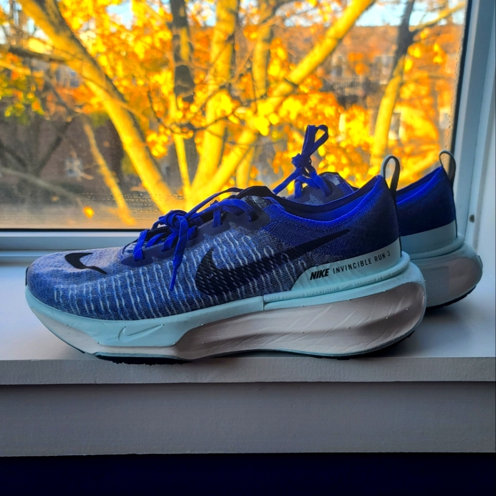 Nike invincible run 3